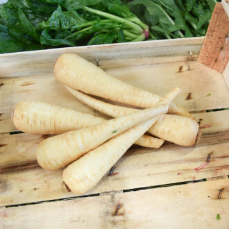 Frischekiste Pastinake AUSVERKAUFT