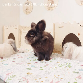 Kühlmatte mehr Designs circa gegen 20.6.