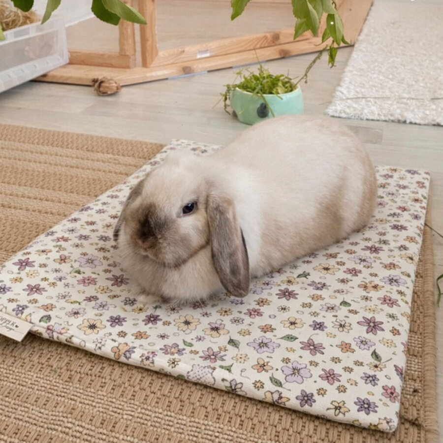 Kühlmatte flowering 40 x 50 cm