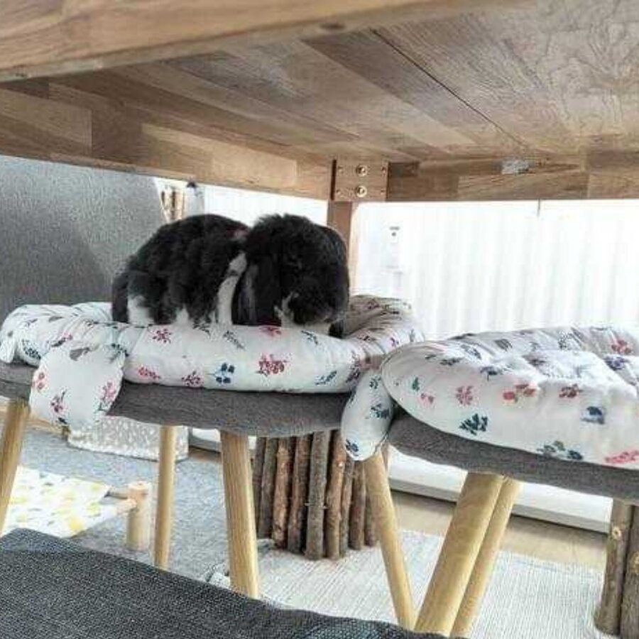 snuggle pad Streublume