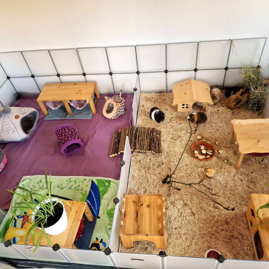 Spendenaktion - NotMeeries-Irenensee