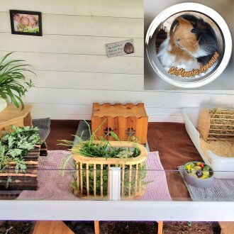 Spendenaktion - NotMeeries-Irenensee