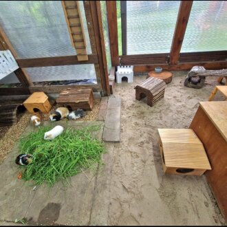 Spendenaktion - NotMeeries-Irenensee