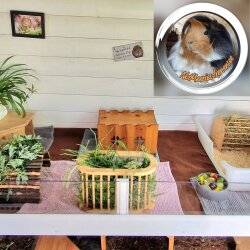 Spendenaktion - NotMeeries-Irenensee