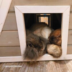 Finnhütte "chill cottage" kaschmir