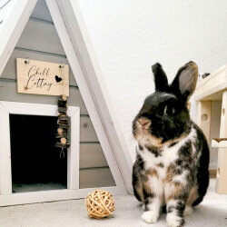 Finnhütte "chill cottage" kaschmir