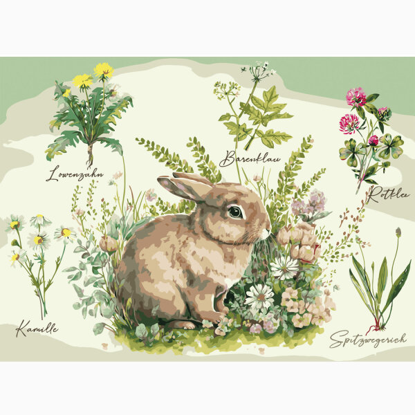 Painting by numbers "plants and rabbit"