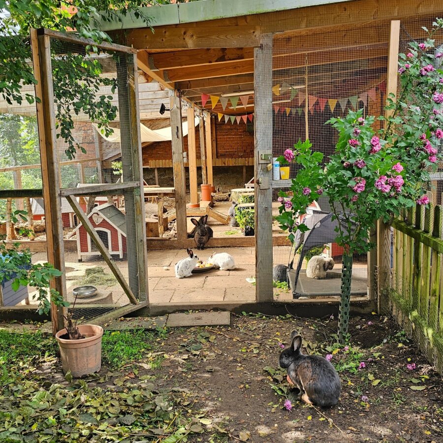 Spendenaktion - Tierschutzhof Hachmühlen e.V.