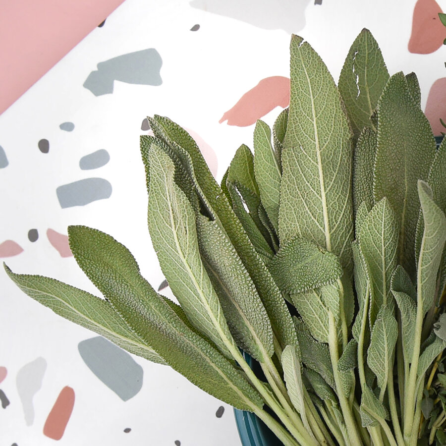 Frischekiste Salbei 200 g