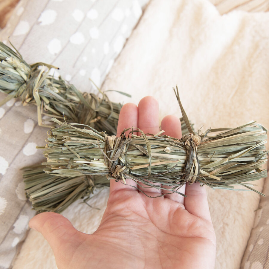 Nur jetzt! Timothy Bündel