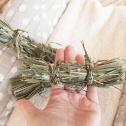 Nur jetzt! Timothy Bündel