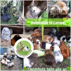 Spendenaktion - Notstation/ Auffangstation M. Lampe