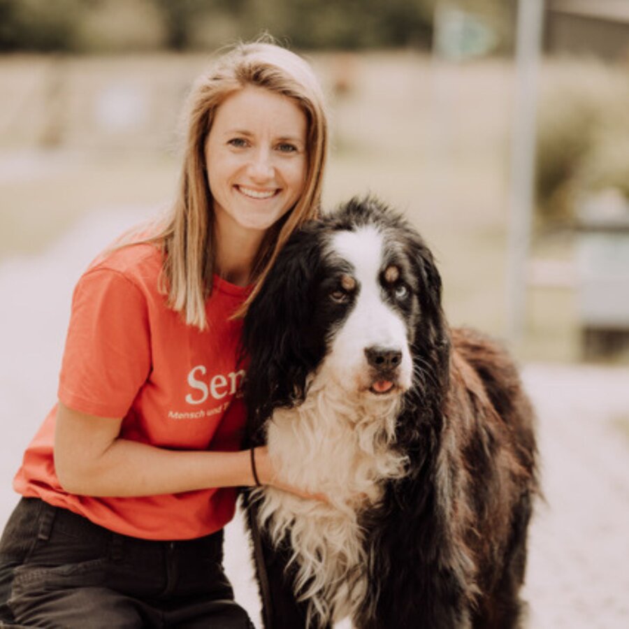 Spendenaktion - Sentana Stiftung