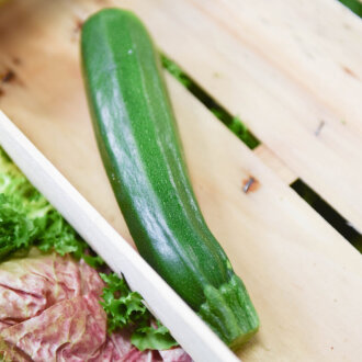 Frischekiste Zucchini 1 Stück AUSVERKAUFT
