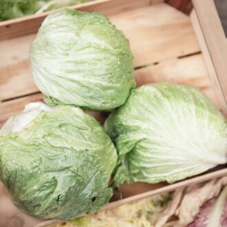 Frischekiste Eisbergsalat AUSVERKAUFT
