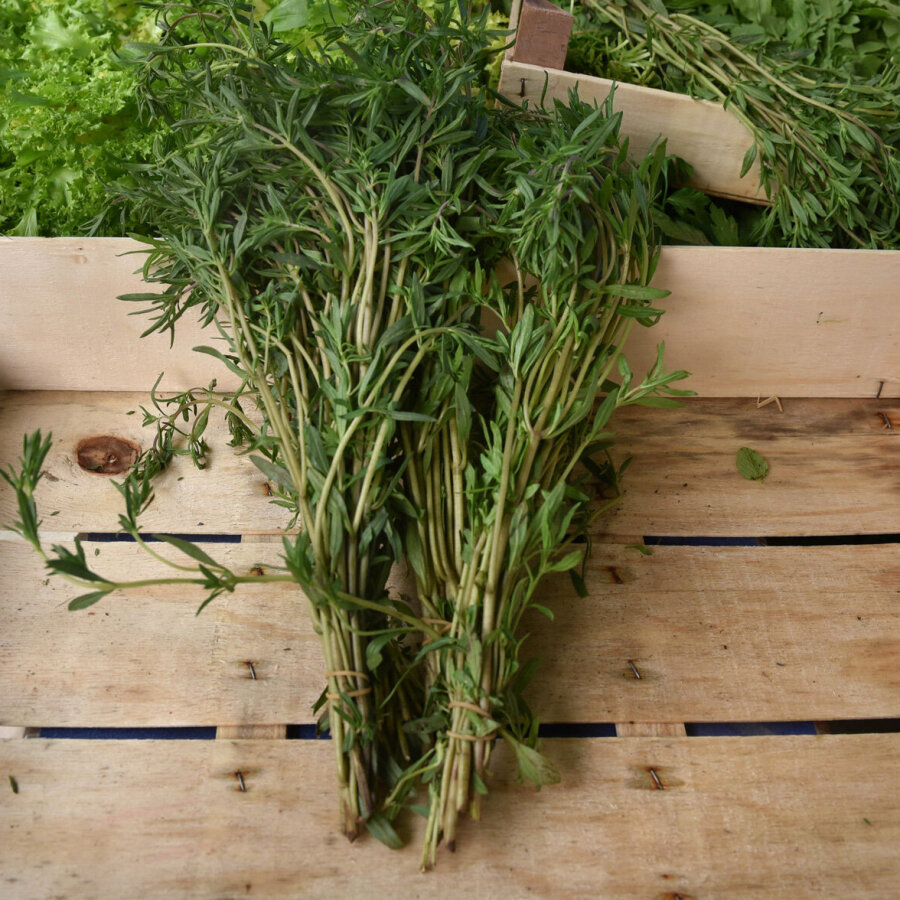 Frischekiste Bohnenkraut 200 g