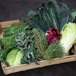 Frischekiste Frostbox 5 kg -20% Rabatt