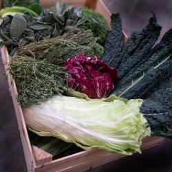 Frischekiste Frostbox 5 kg