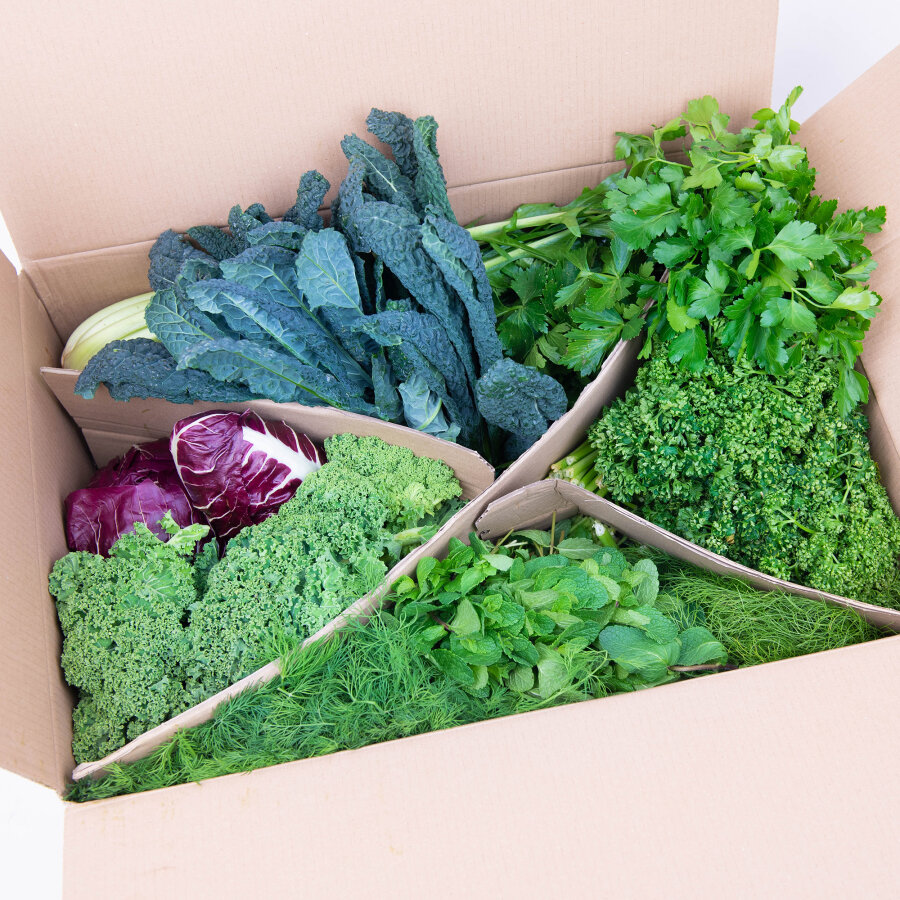 Frischekiste Best of Box 3 kg