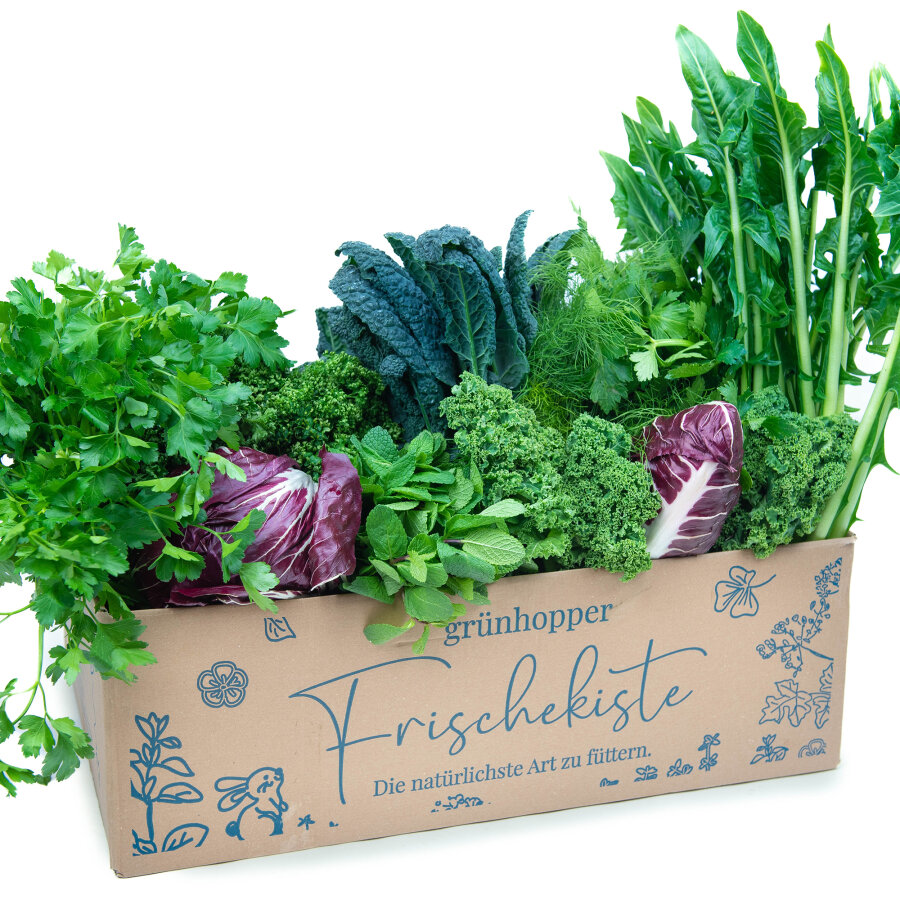 Frischekiste Best of Box 10 kg