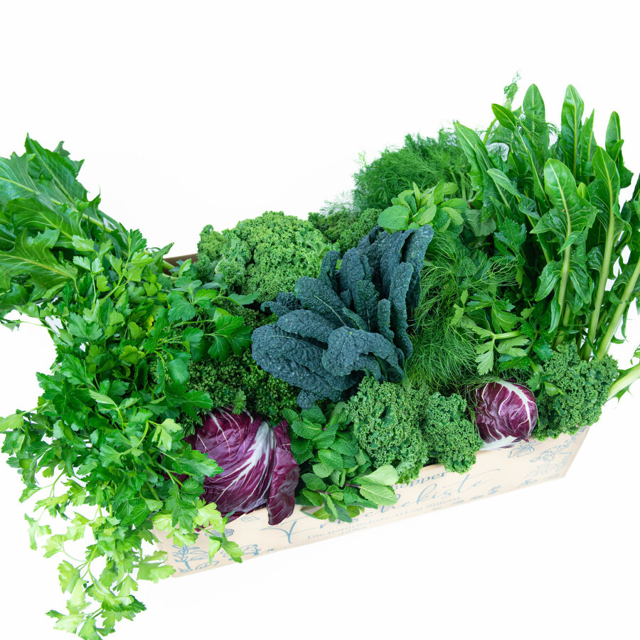 Frischekiste Best of Box 10 kg