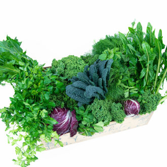 Frischekiste Best of Box 10 kg