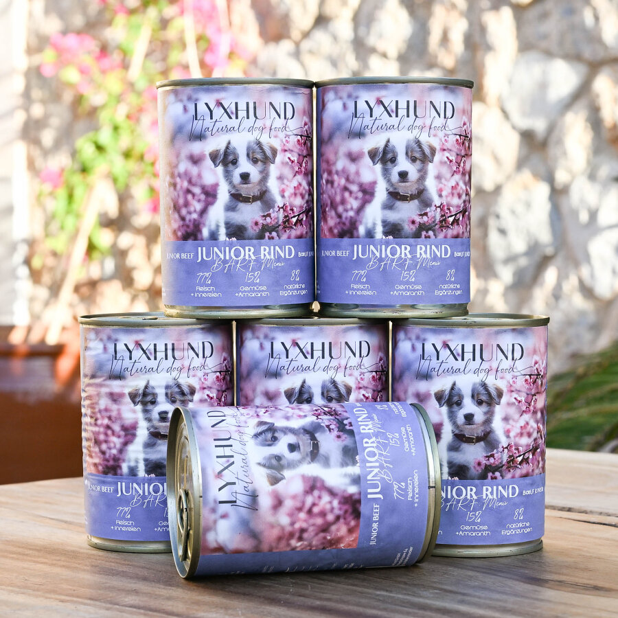 Junior Rind B.A.R.F. Menü