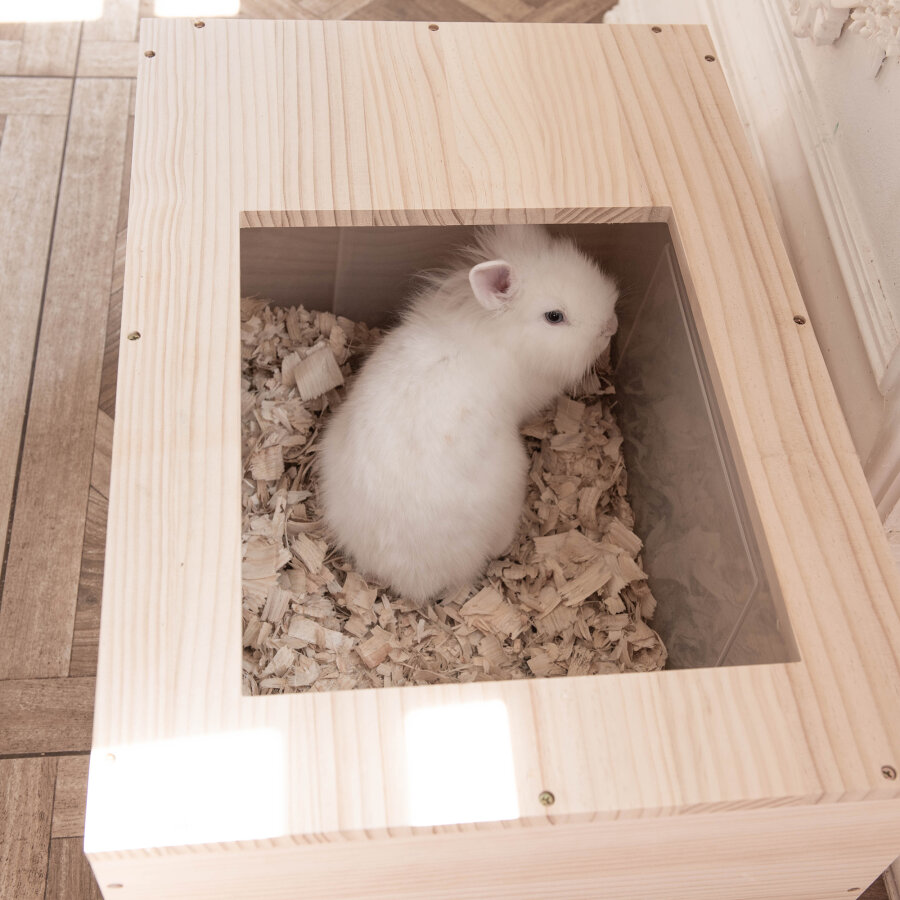 PRESALE Hopplwerk Buddelkiste für Plastikboxen "heaven"