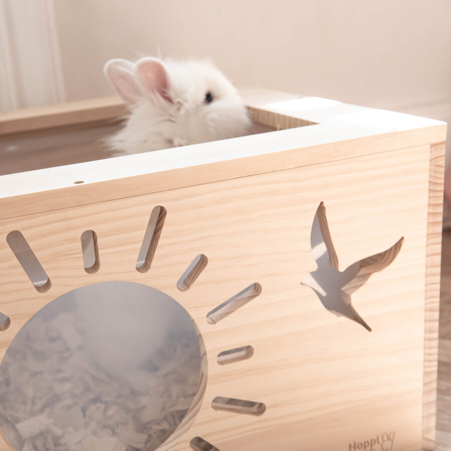 PRESALE Hopplwerk Buddelkiste für Plastikboxen "heaven"