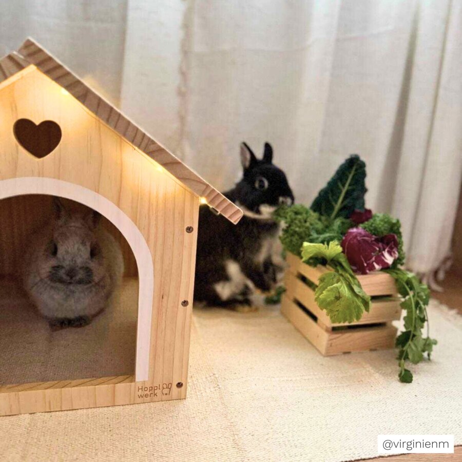 Hopplwerk Hus Alma natur