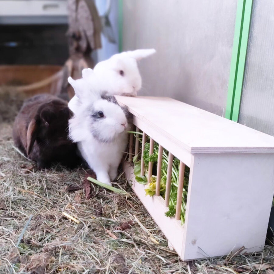 Hopplwerk Futterraufe Marlin