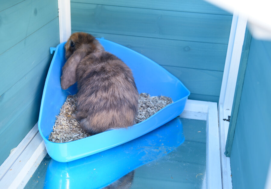 grünhopper Hanfstroh