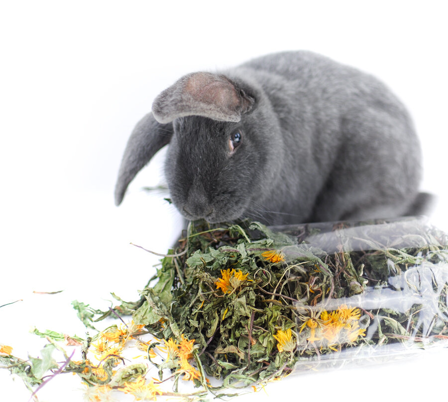 grünhopper Butterblumenwiese 100 g