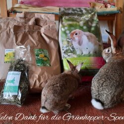 Spendenaktion - 85247 Bayern rockt-Kaninchenhilfe e.V.