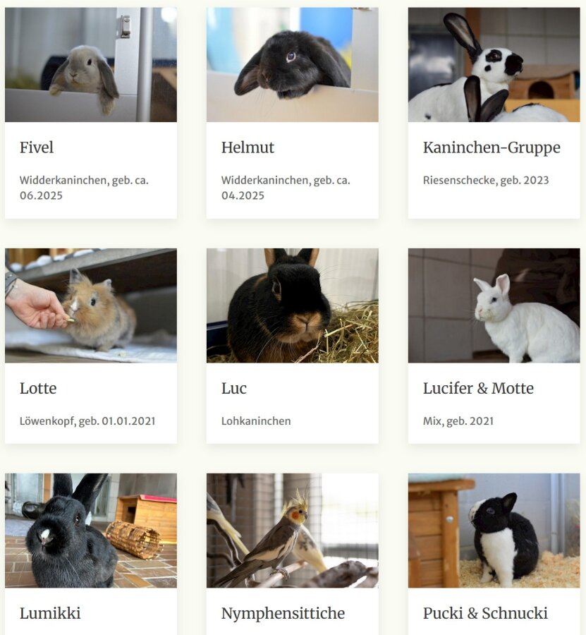 Spendenaktion - Tierheim Troisdorf