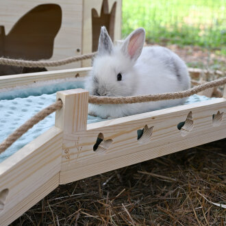 PRESALE Brücke butterfly