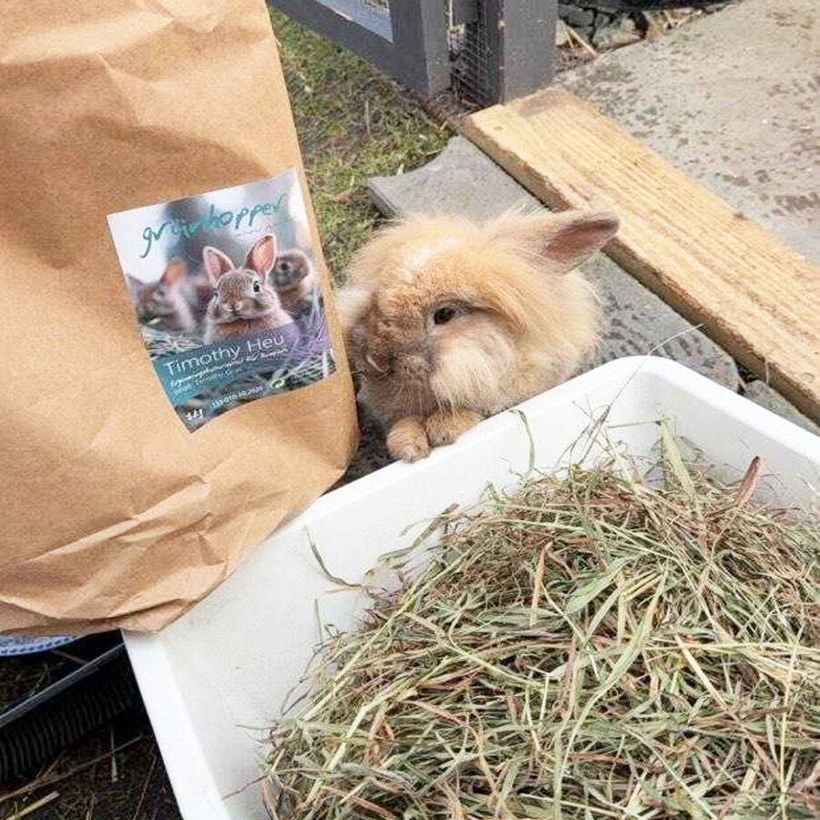 Timothy Heu- neuer günstiger Preis!