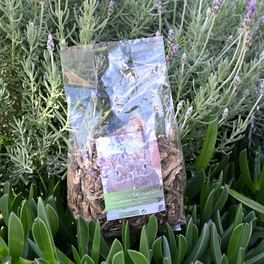 Liebstöckelwurzel