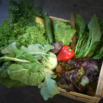 Frischekiste Meerschweinchen 7 kg KEIN KOHL