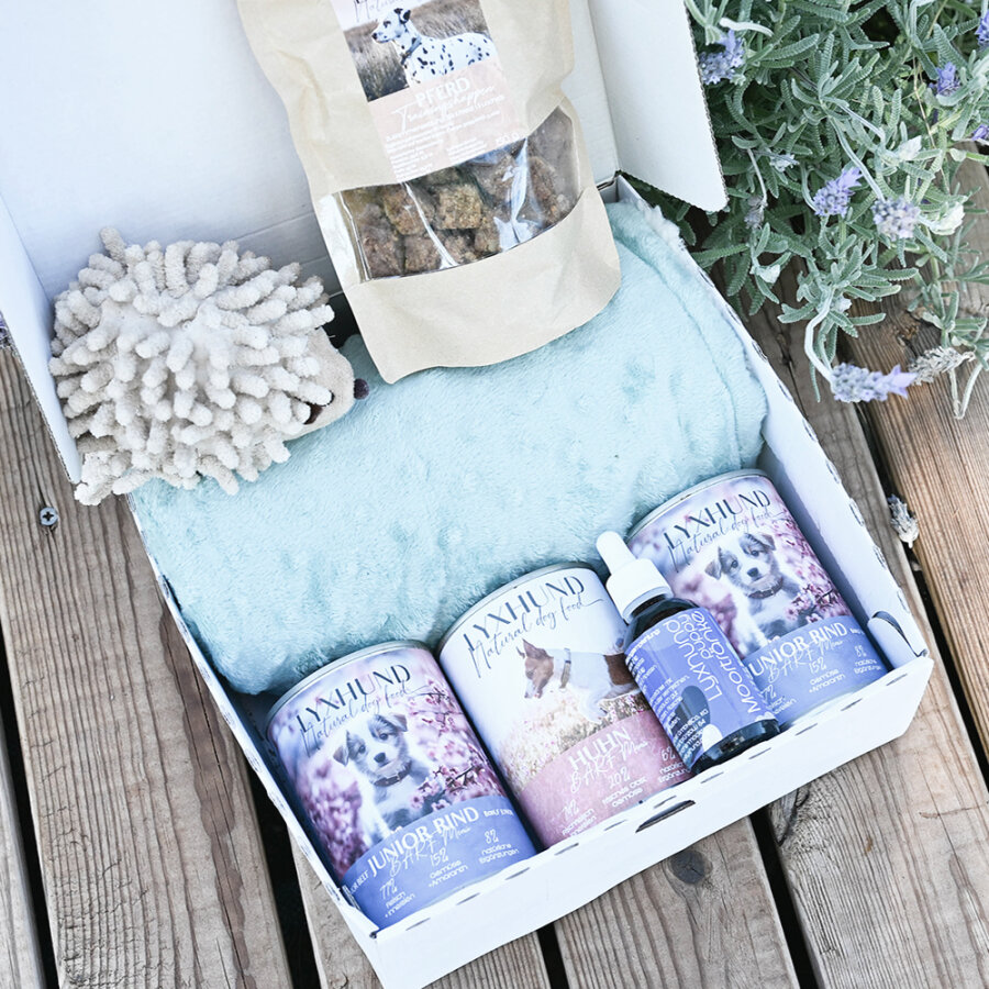 Welpenpaket Bubbledecken Edition pistazie