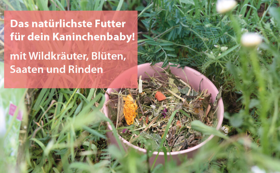 grünhopper Junior 850 g