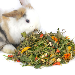 grünhopper Junior 850 g