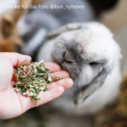 grünhopper Junior 850 g