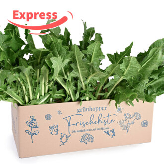 Expressfrische L&ouml;wenzahn AUSVERKAUFT