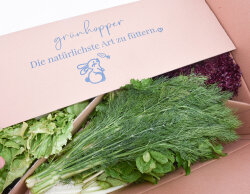 Expressfrische Bunte Vielfalt
