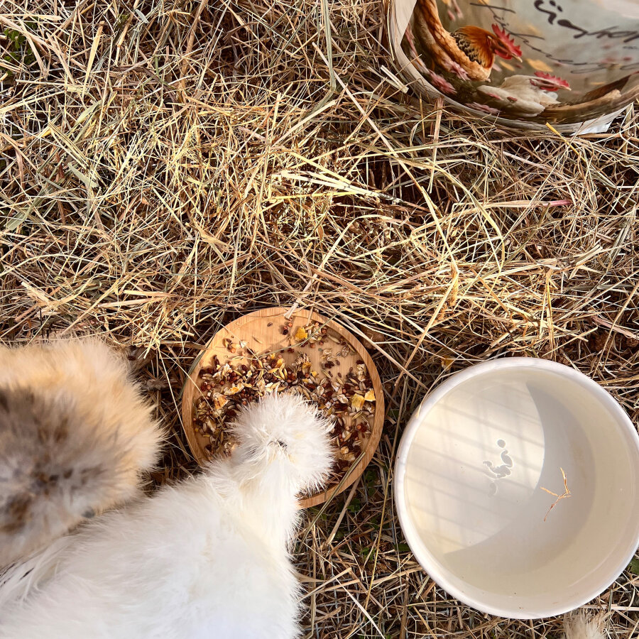 Hühnerglück Basisfutter