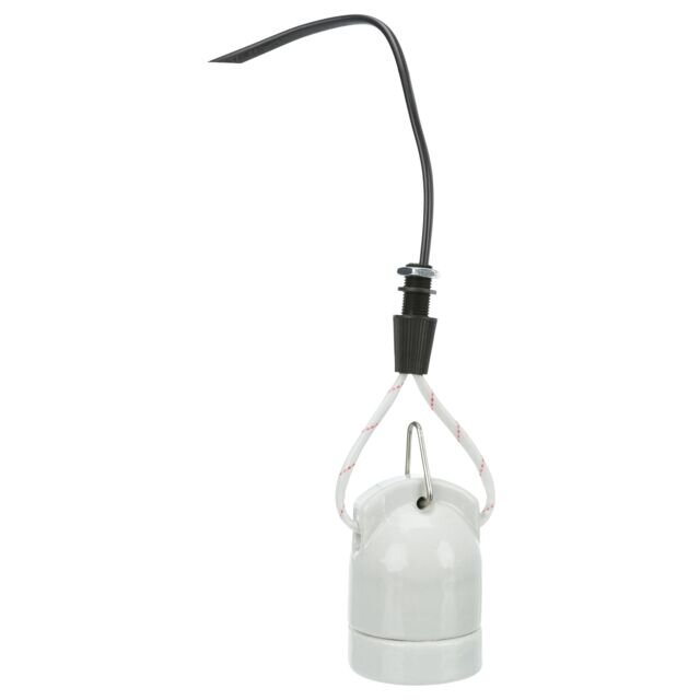 UVB Lampe
