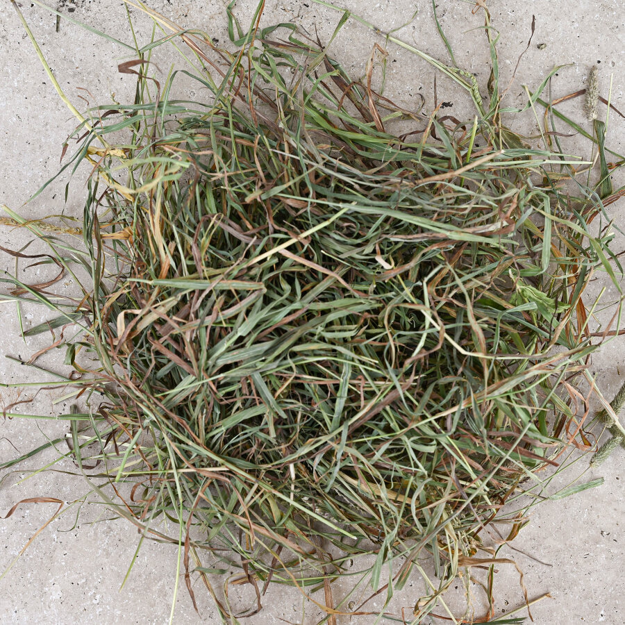 Premium Timothy Heu 1. Schnitt