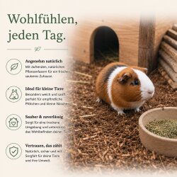 Waldbodeneinstreu