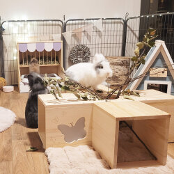 Tunnelsystem X butterfly